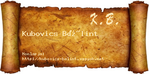 Kubovics Bálint névjegykártya